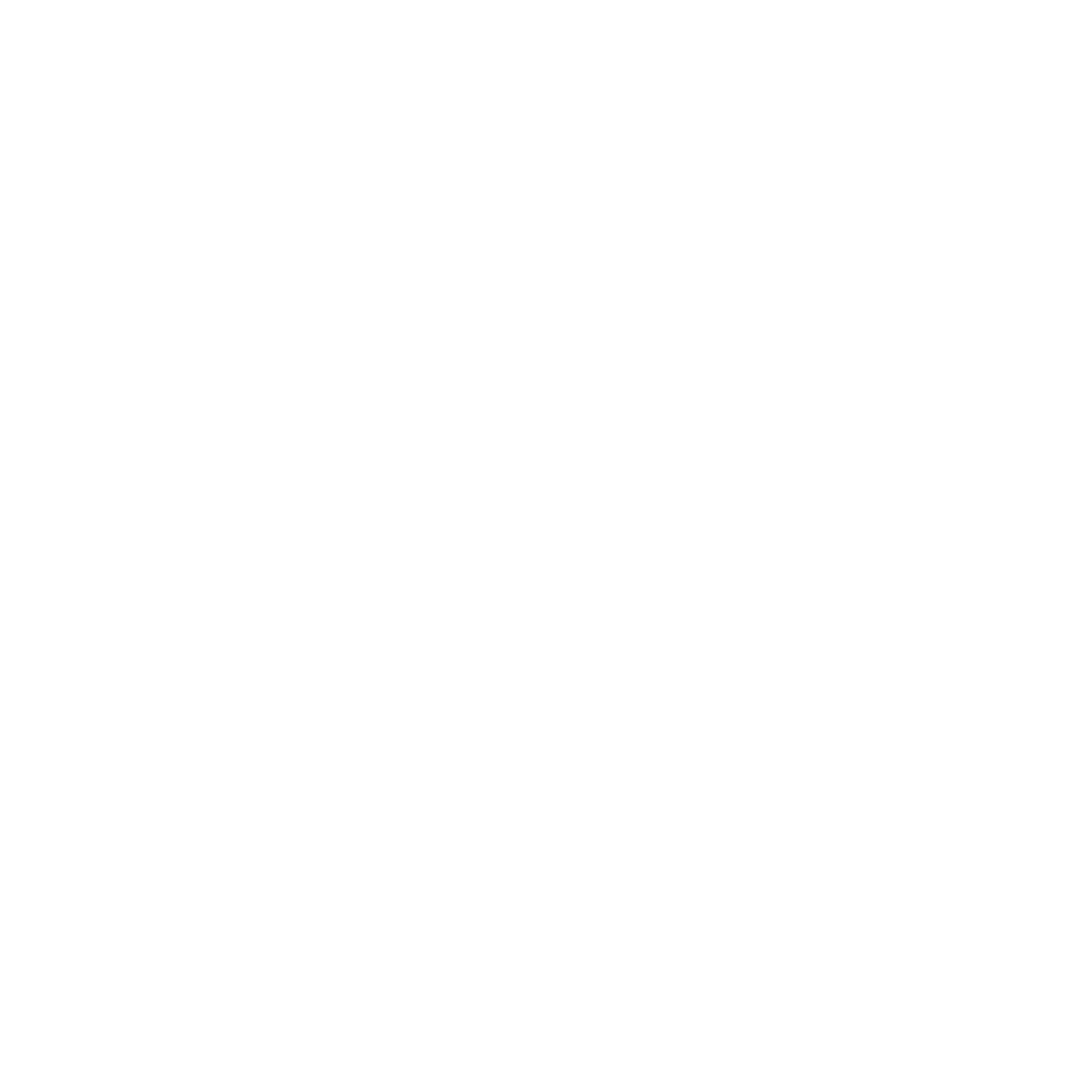 Armadillo Social Logo